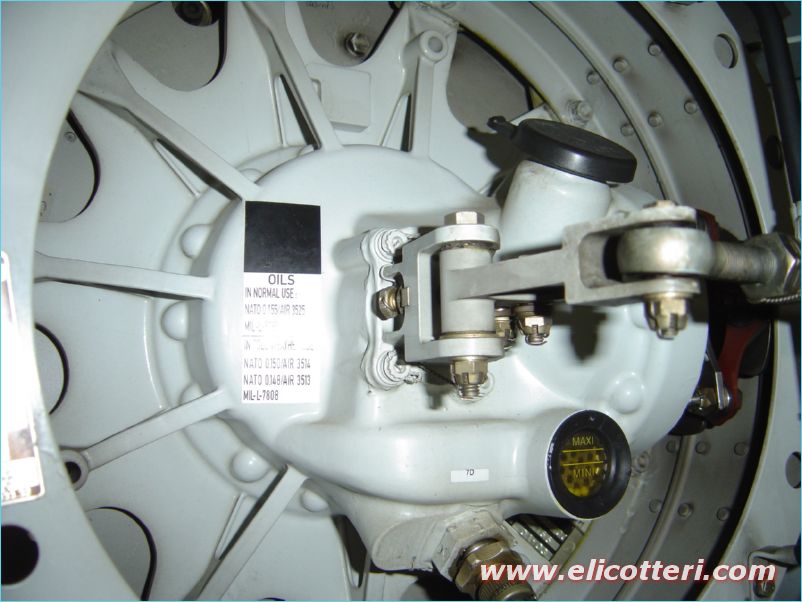 elifoto (83)